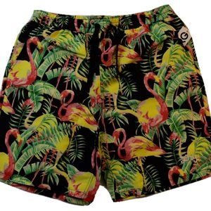 Lifted Research Group LRG Mens Too Many Flamingos Hybrid Shorts New With Tags